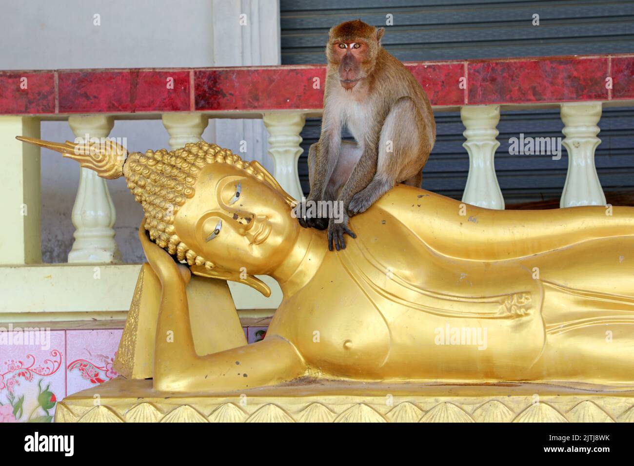 Statue et singe de Bouddha d'or, Temple Khao Takiab, Hua Hin, Thaïlande Banque D'Images