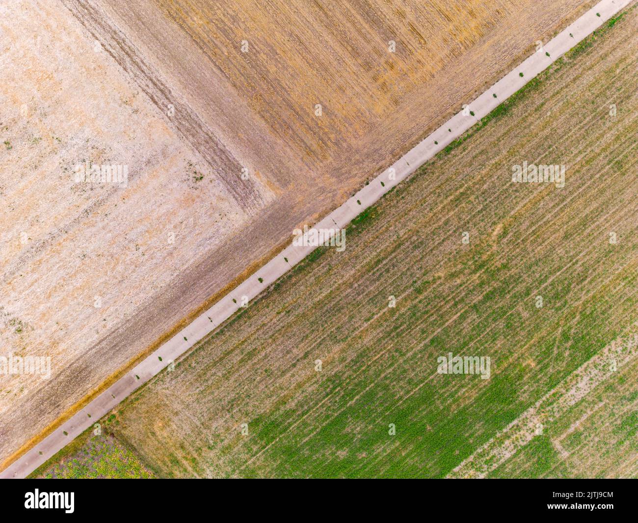 Les champs après la récolte sont asséchés et les chenilles du tracteur forment des lignes et des motifs naturels du point de vue des drones Banque D'Images