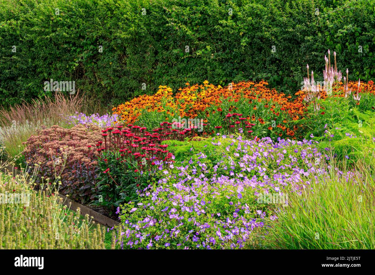 Une exposition colorée de plantation herbacée en milieu d'été par Piet Oudolf à la Hauser & Wirth Gallery dans le champ d'Oudolf, Bruton, Somerset, Angleterre, Royaume-Uni Banque D'Images