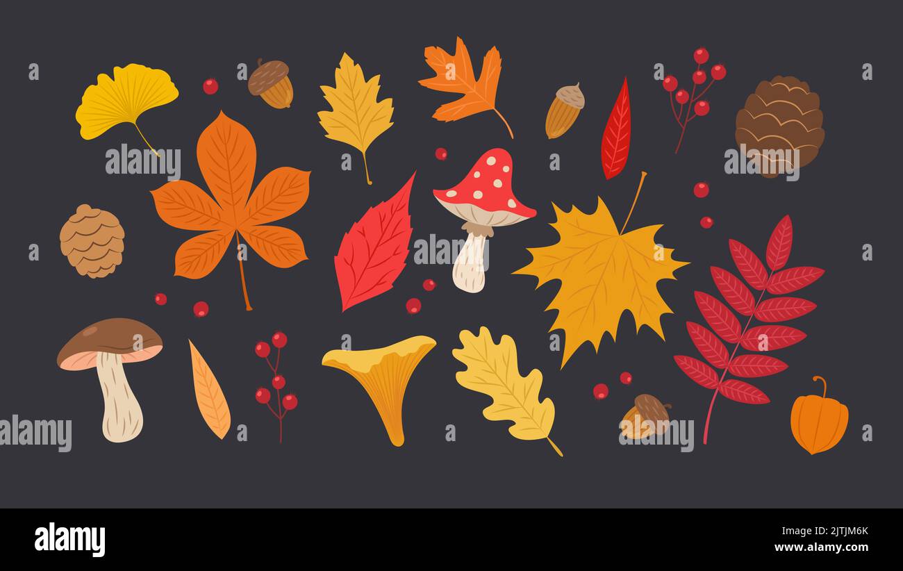 Feuilles d'automne. Mignons feuilles, champignons, baies et glands. Illustration vectorielle des éléments saisonniers de l'automne Illustration de Vecteur
