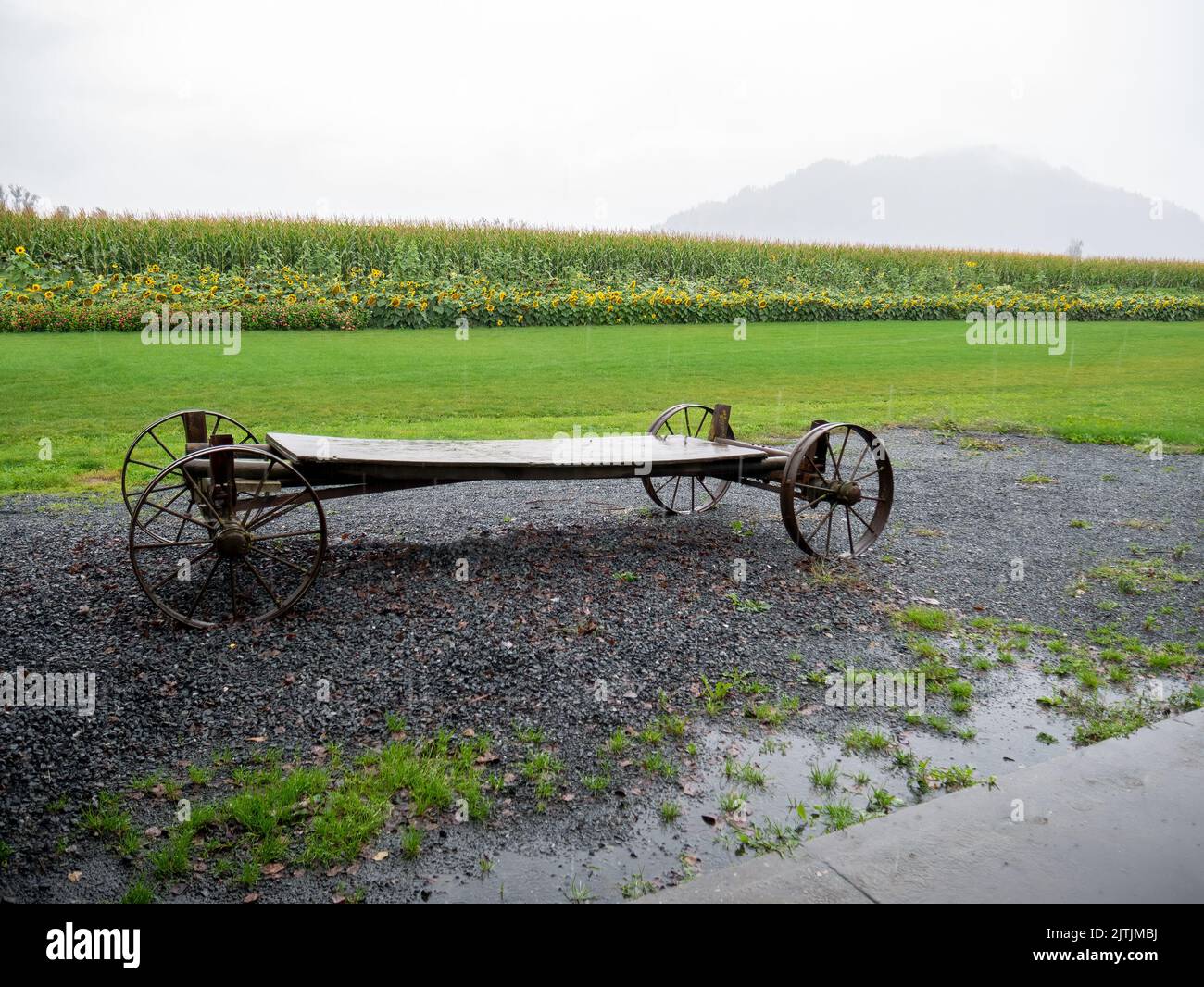 Une charrette à cheval abandonnée à côté du champ de la ferme par jour de pluie Banque D'Images