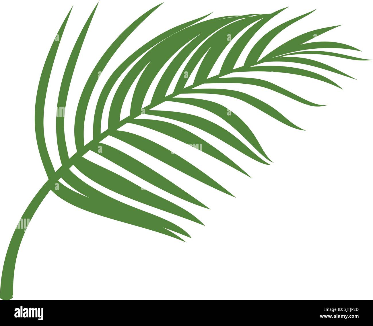 Feuilles de palmier. Branche verte réaliste. Feuillage de l'arbre Illustration de Vecteur