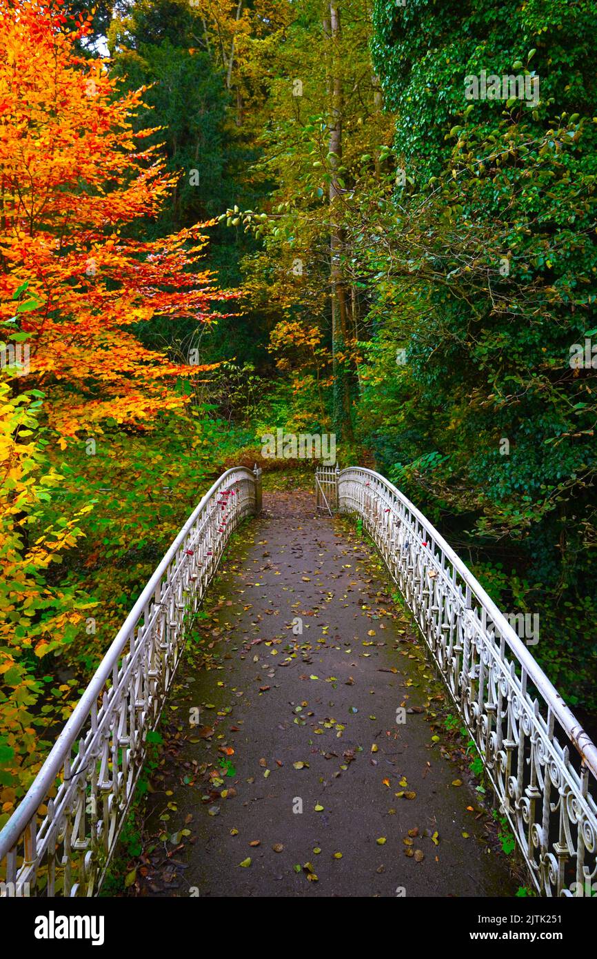 Bridge secrets, quelque part sur la Forêt-Noire, Allemagne Banque D'Images