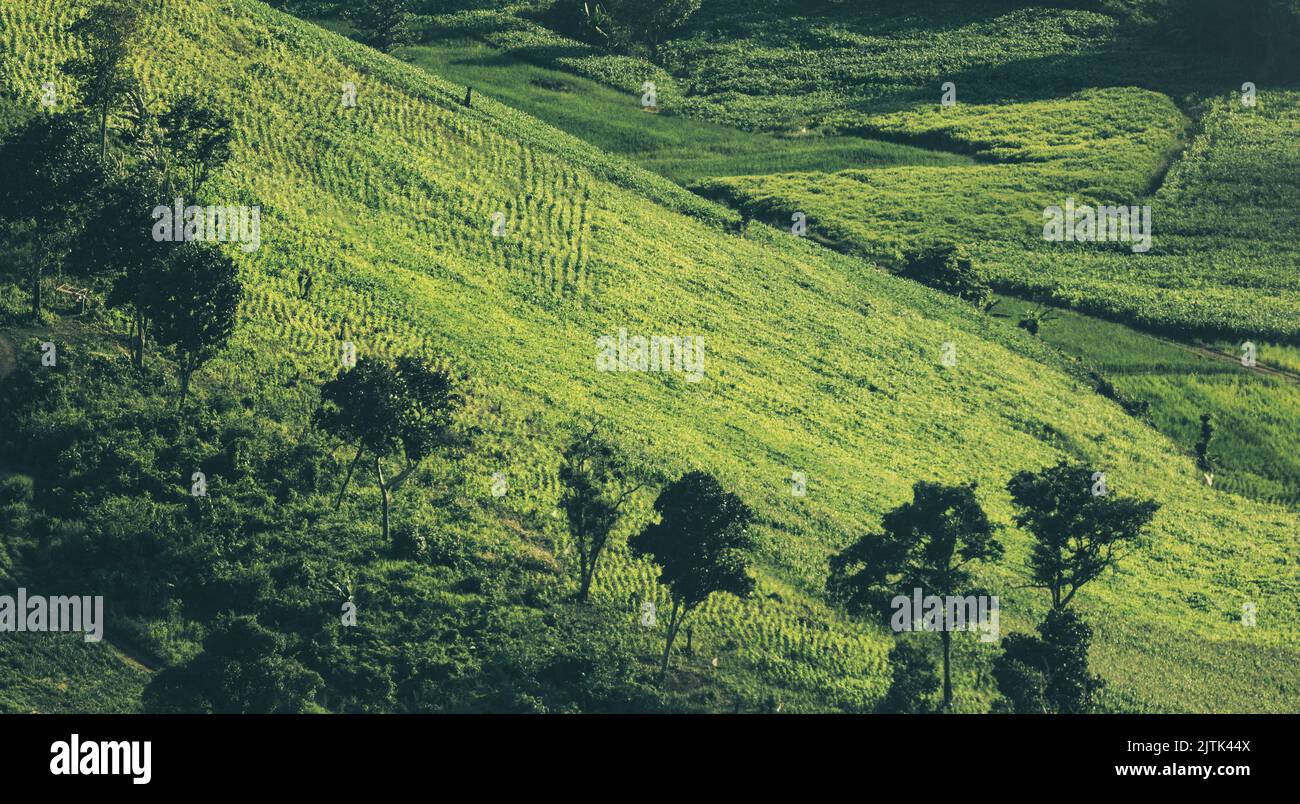 Magnifique paysage de montagnes avec des champs verdoyants, tonicité pour un style vintage, point de vue à Suphanburi Thaïlande. Banque D'Images