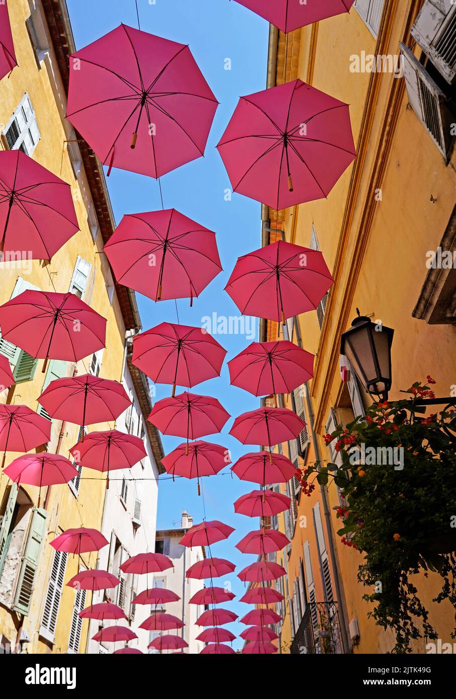 Parasols roses au-dessus de la rue, Grasse France Banque D'Images