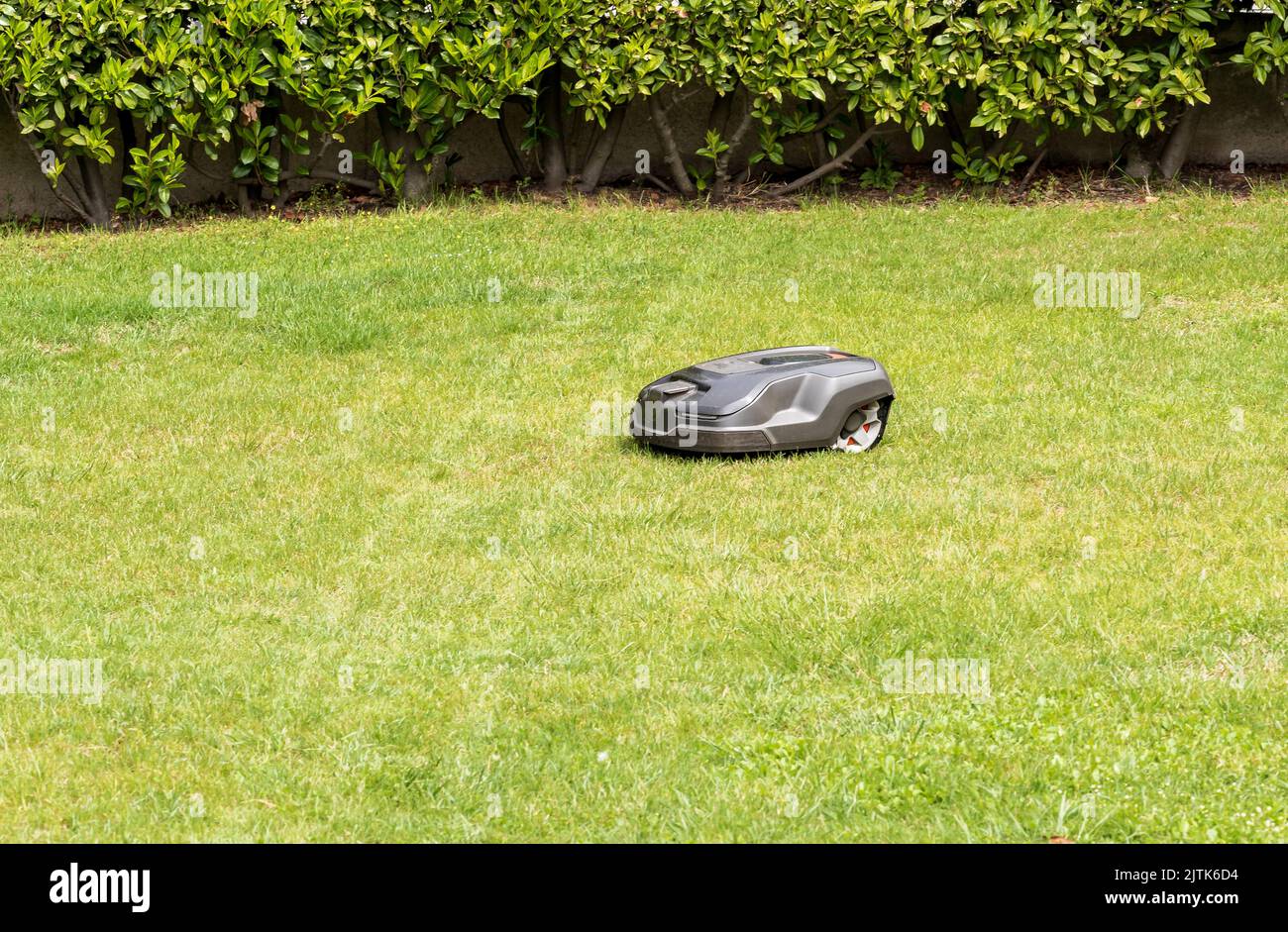 Tondeuse robot coupe de l'herbe dans le jardin en été. Banque D'Images