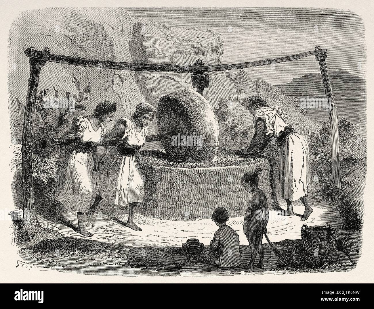 moulin-meuler-les-olives-femmes-travaillant-dans-le-broyage-des