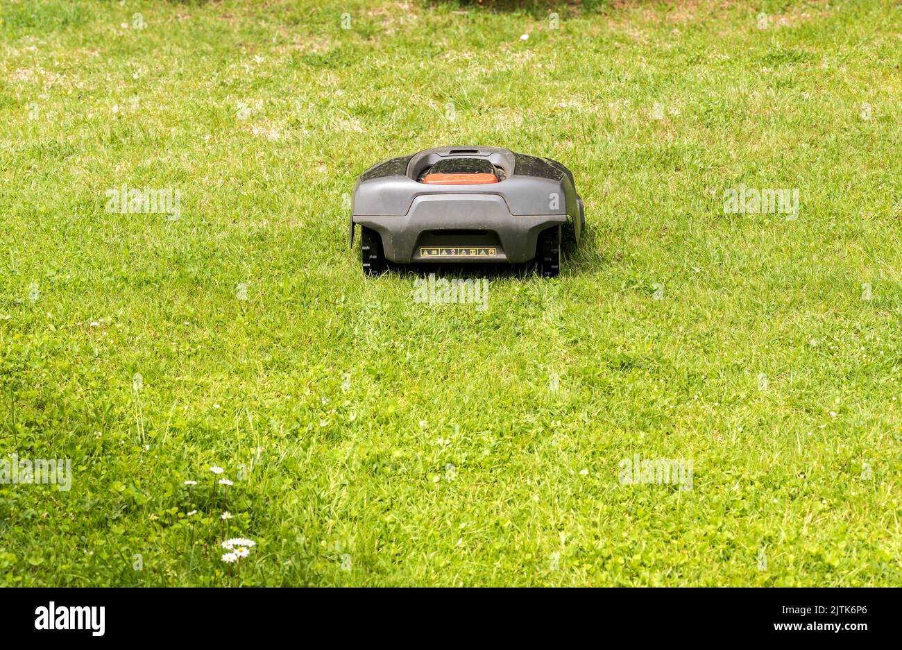 Tondeuse robot coupe de l'herbe dans le jardin en été. Banque D'Images