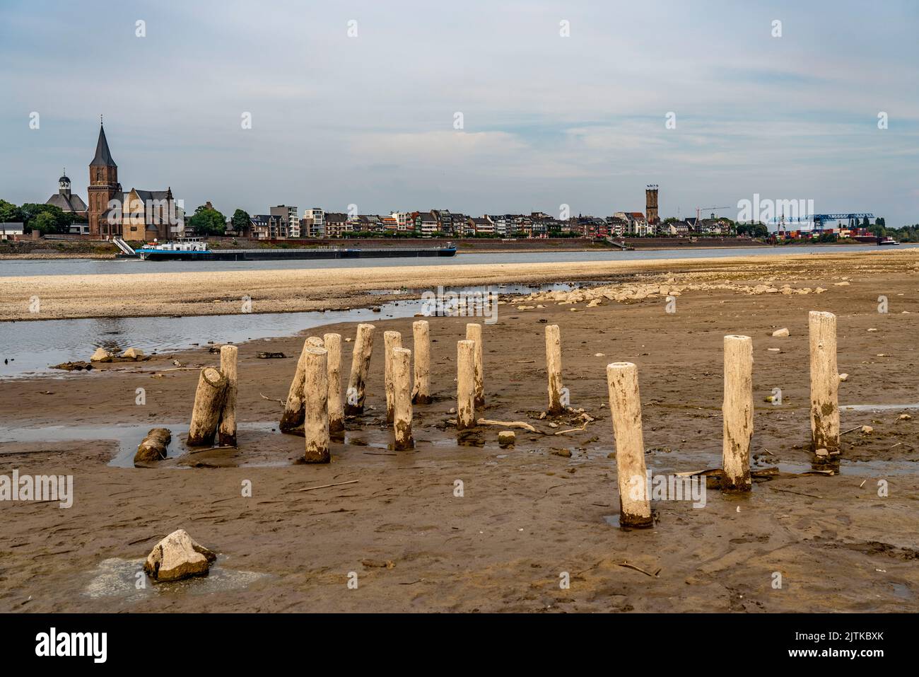 Rhin près d'Emmerich, eau extrêmement basse, niveau du Rhin à 0 cm, tendance à la chute, NRW, Allemagne Banque D'Images