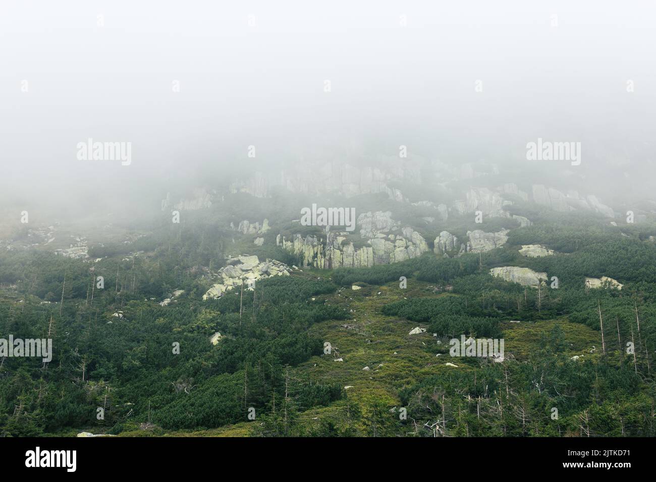 KARPACZ, POLOGNE - 20 AOÛT 2022 : montagnes Karkonosze (partie du système de montagnes des Sudètes), flanc de montagne dans un brouillard matinal Banque D'Images KARPACZ, POLOGNE - 20 AOÛT 2022 : montagnes Karkonosze (partie du système de montagnes des Sudètes), flanc de montagne dans un brouillard matinal Banque D'Images