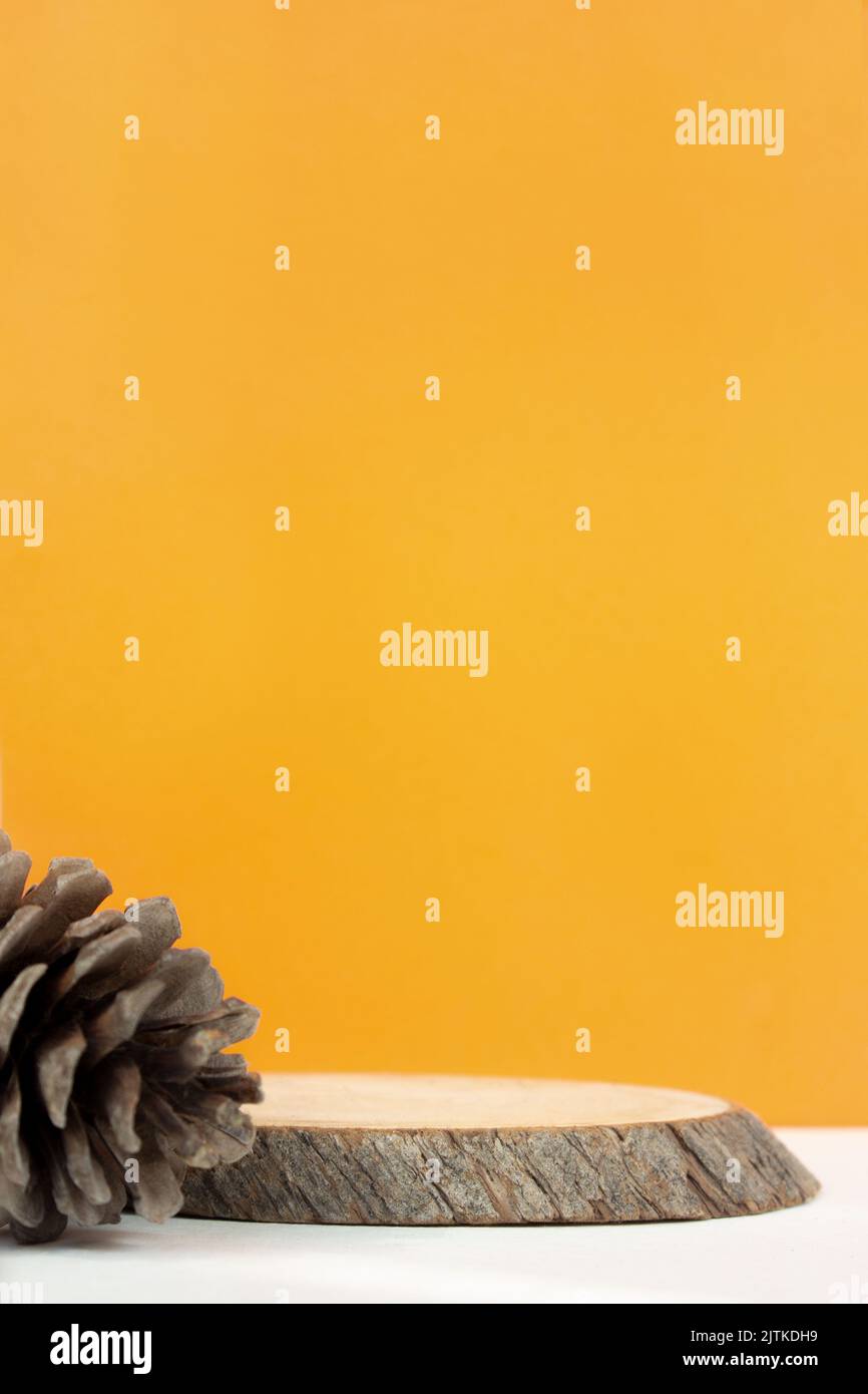 Le podium en bois a vu l'arbre coupé sur fond orange avec cône de pin d'automne. Sujet d'automne. Minimalisme composition d'automne Banque D'Images