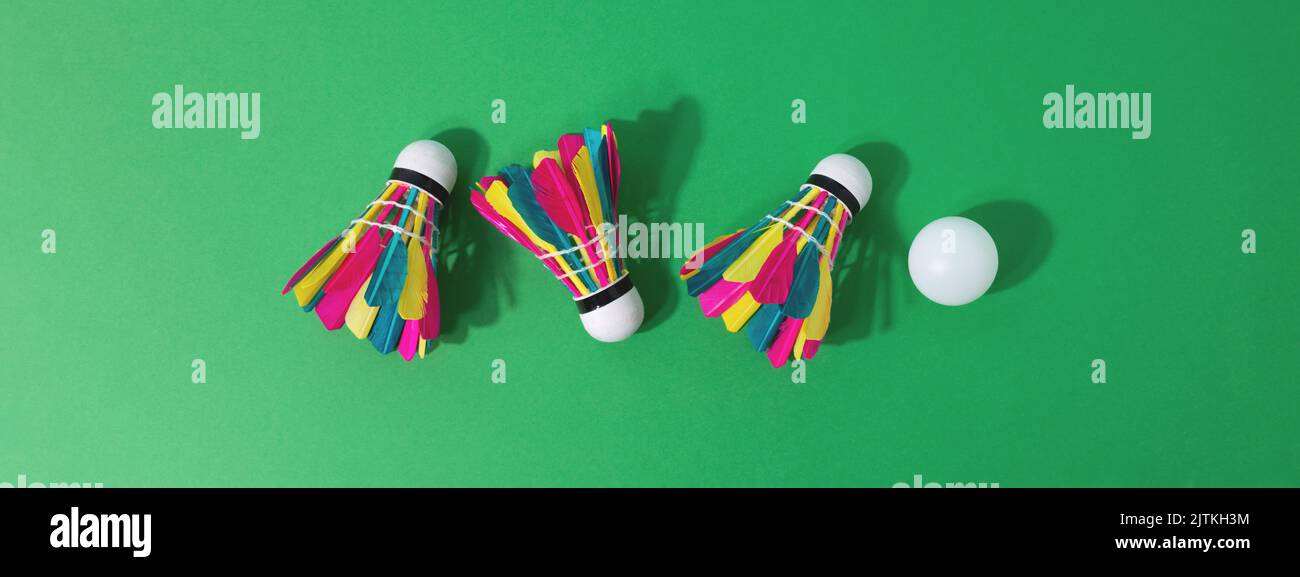 Des hamacs colorés et une balle blanche sur fond vert. Badminton, activité estivale. Bannière 16:6 Banque D'Images