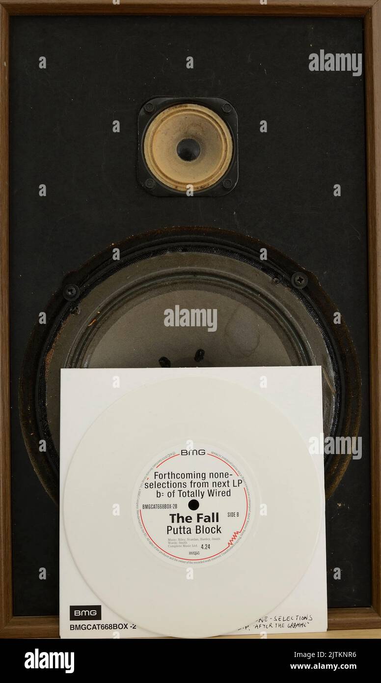 Des singles en vinyle de couleur à l'automne. Banque D'Images