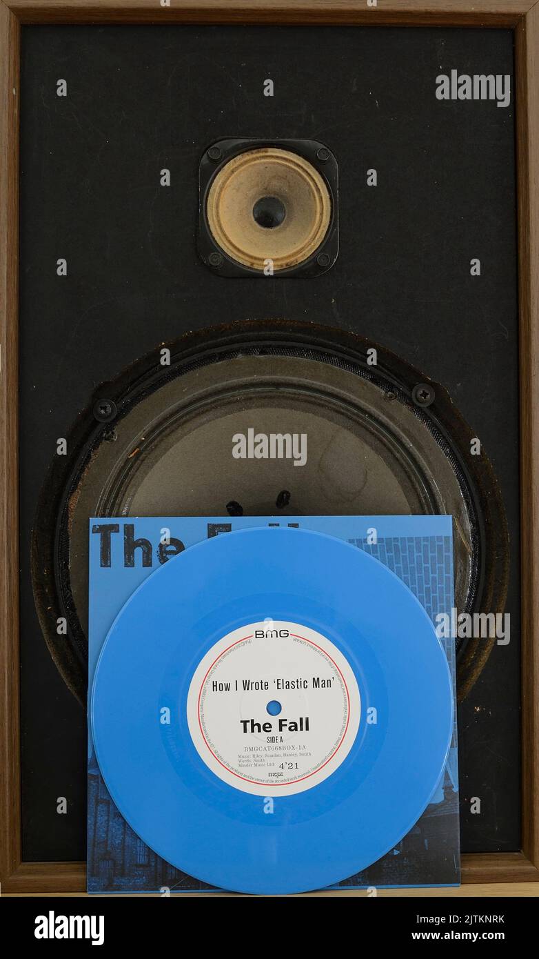 Des singles en vinyle de couleur à l'automne. Banque D'Images