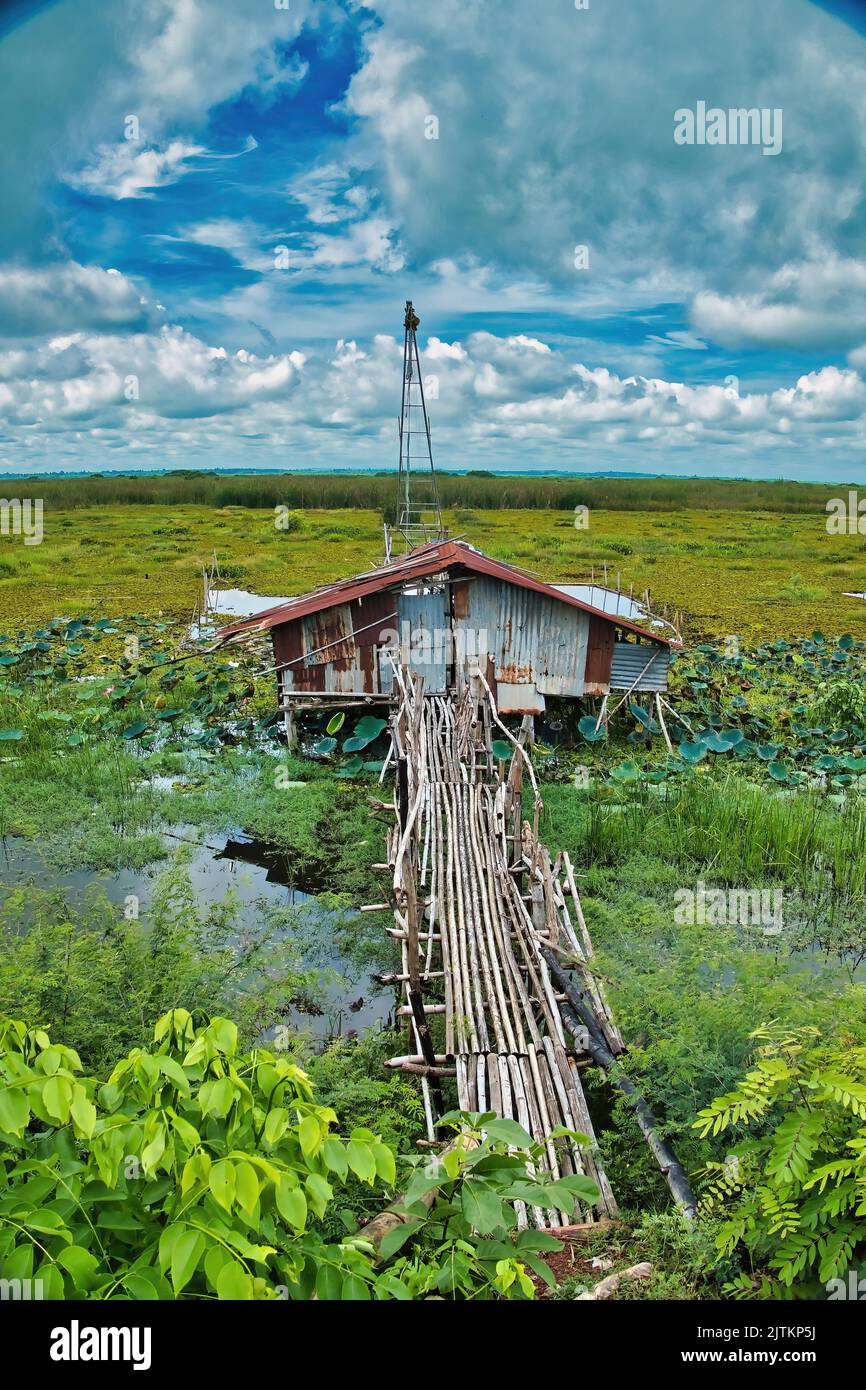 Chalet de pêcheur avec un pont en bambou dans la zone humide de la rive nord du lac Red Lotus (Nong Han Kumphawap), province d’Udon Thani, Thaïlande Banque D'Images