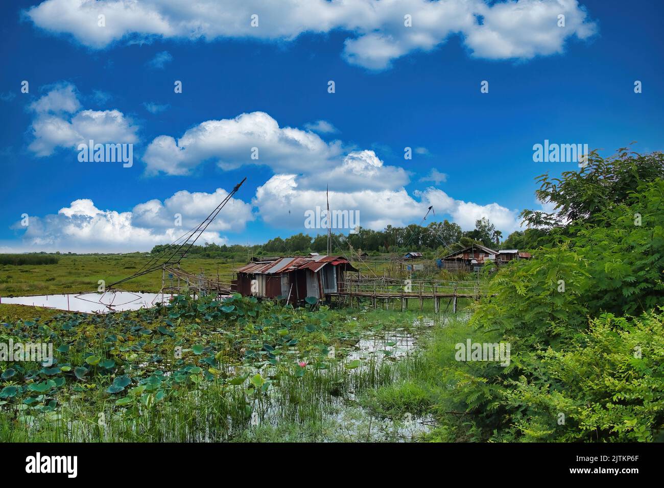 Cabanes de pêcheurs en fer ondulé dans la zone humide de la rive nord du lac Red Lotus (Nong Han Kumphawap), province d’Udon Thani, Thaïlande Banque D'Images