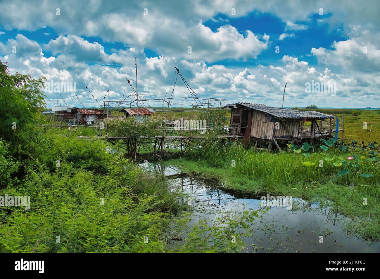 Cabanes de pêcheurs en fer ondulé dans la zone humide de la rive nord du lac Red Lotus (Nong Han Kumphawap), province d’Udon Thani, Thaïlande Banque D'Images