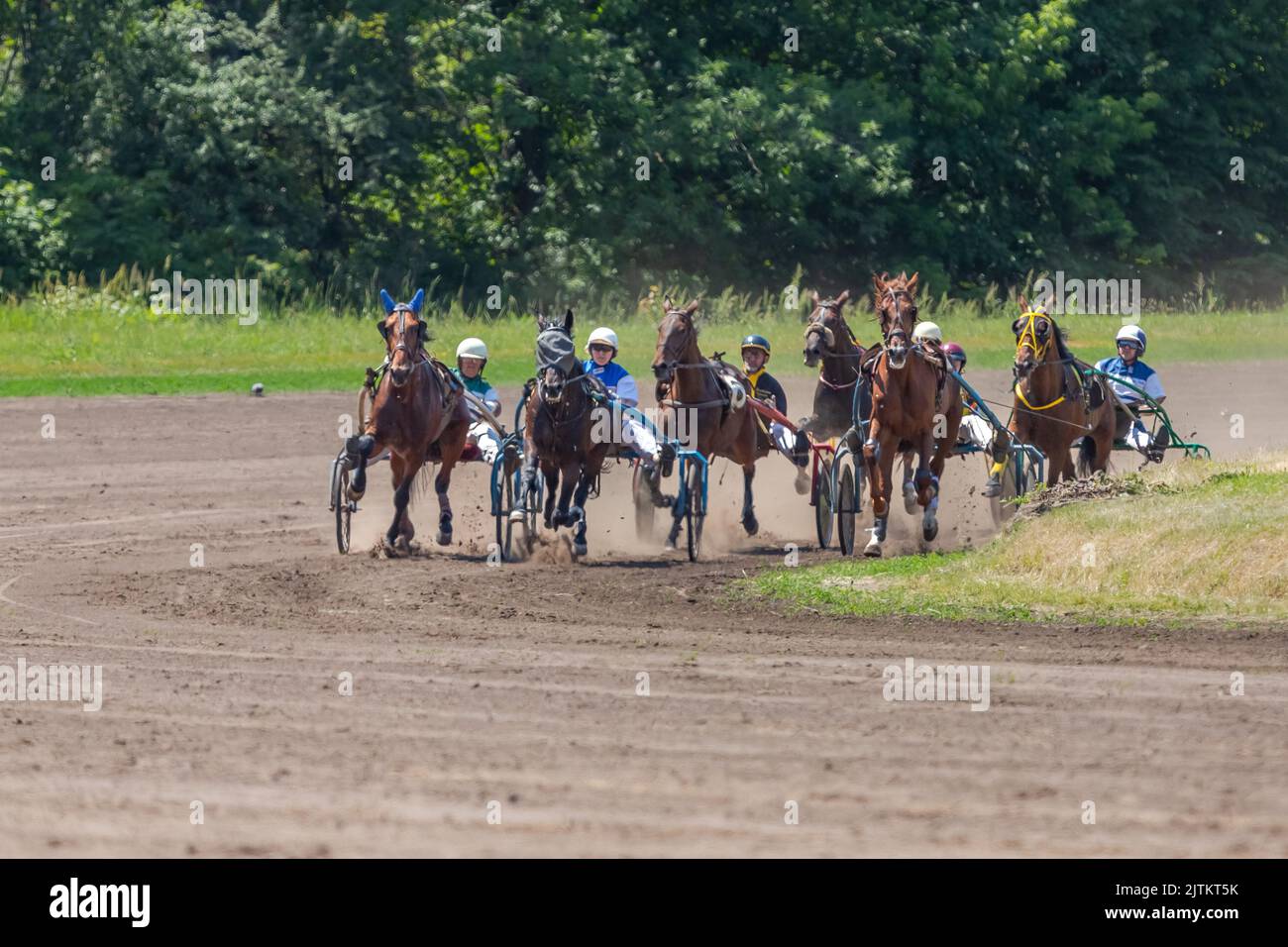 Trotters en traîneaux. Courses hippiques sur l'hippodrome. Animaux gracieux. Course de chevaux. Sports équestres. Paris sportifs. Banque D'Images