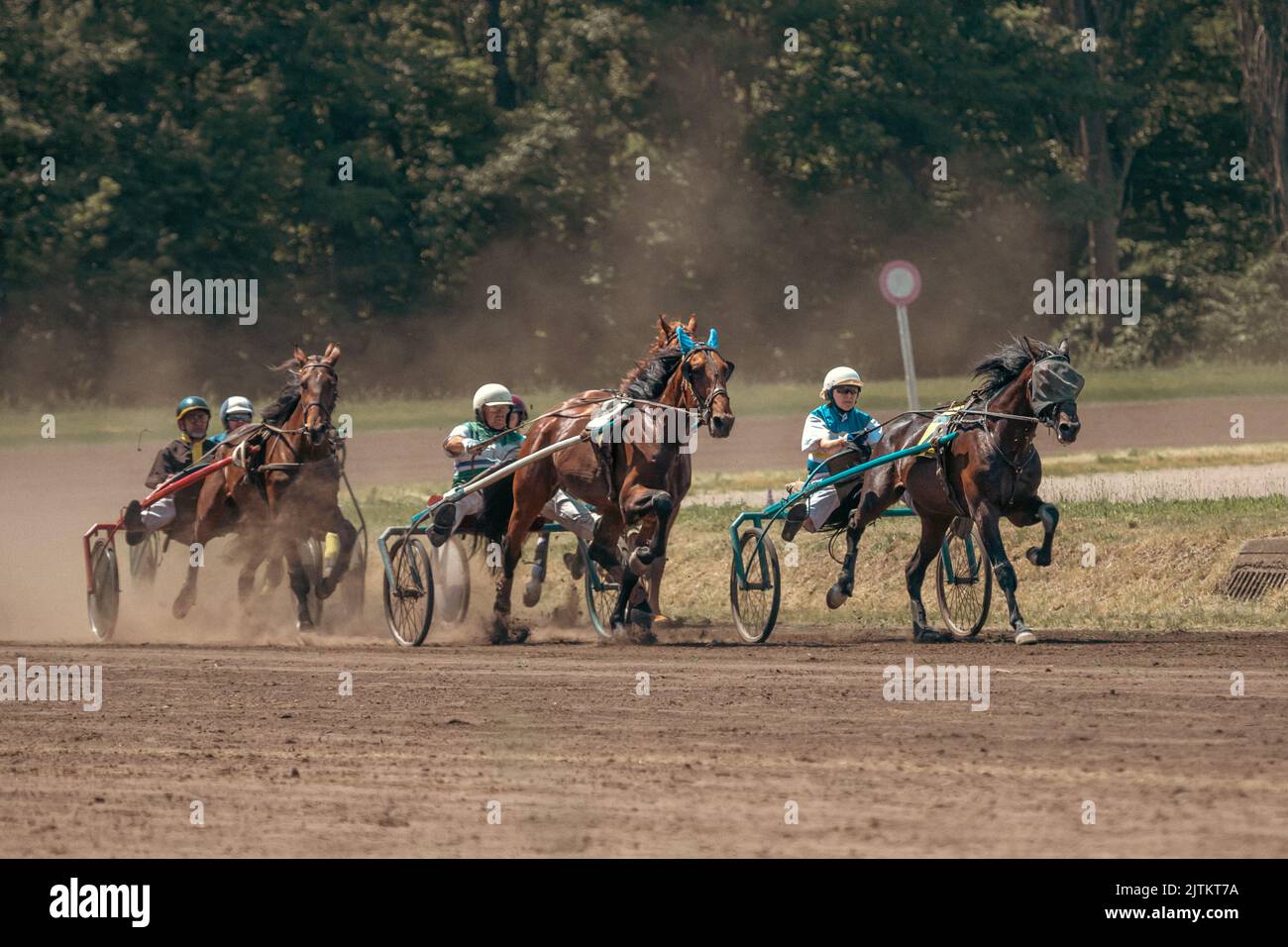 Trotters en traîneaux. Courses hippiques sur l'hippodrome. Animaux gracieux. Course de chevaux. Sports équestres. Paris sportifs. Banque D'Images