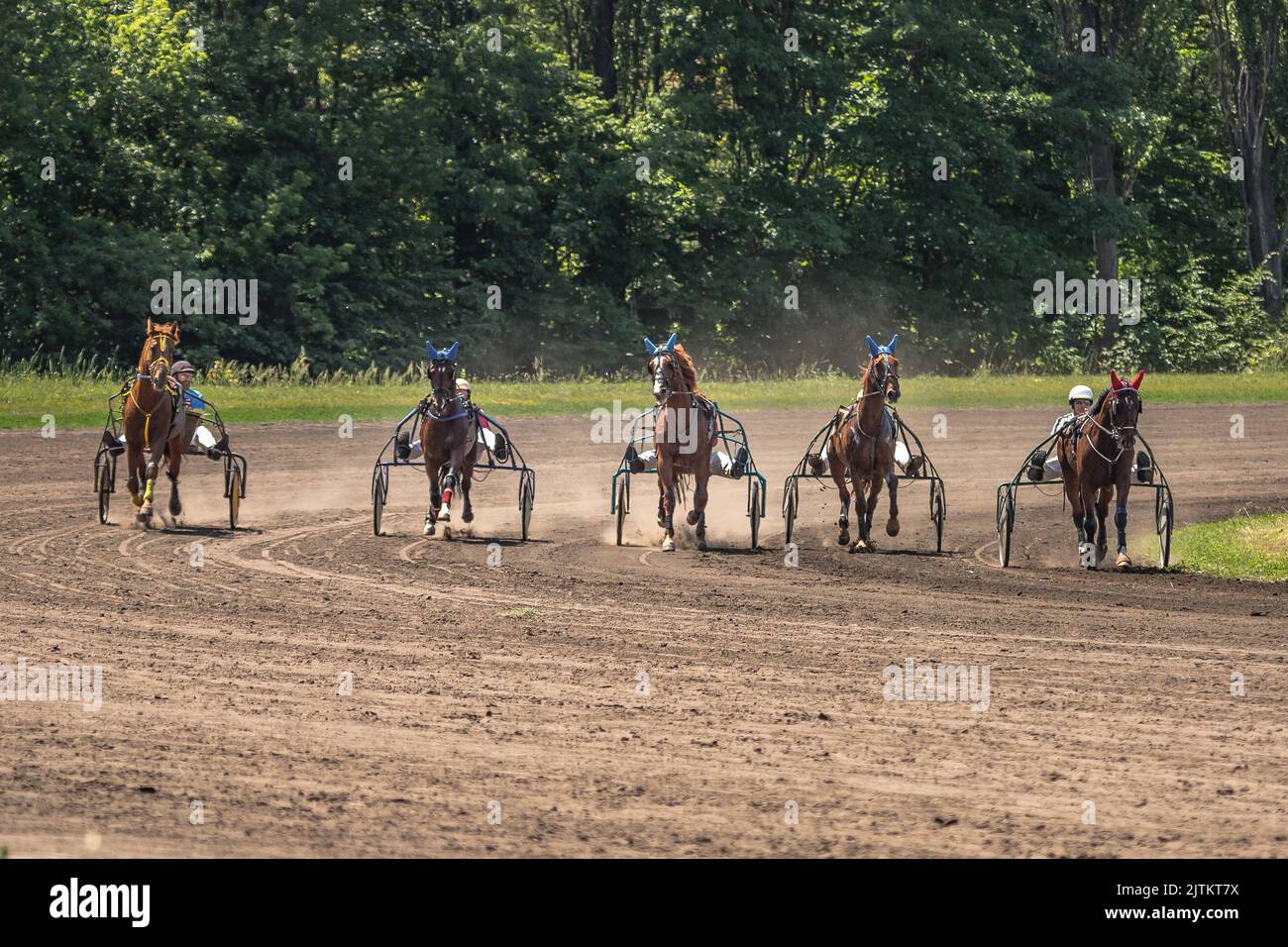 Trotters en traîneaux. Courses hippiques sur l'hippodrome. Animaux gracieux. Course de chevaux. Sports équestres. Paris sportifs. Banque D'Images