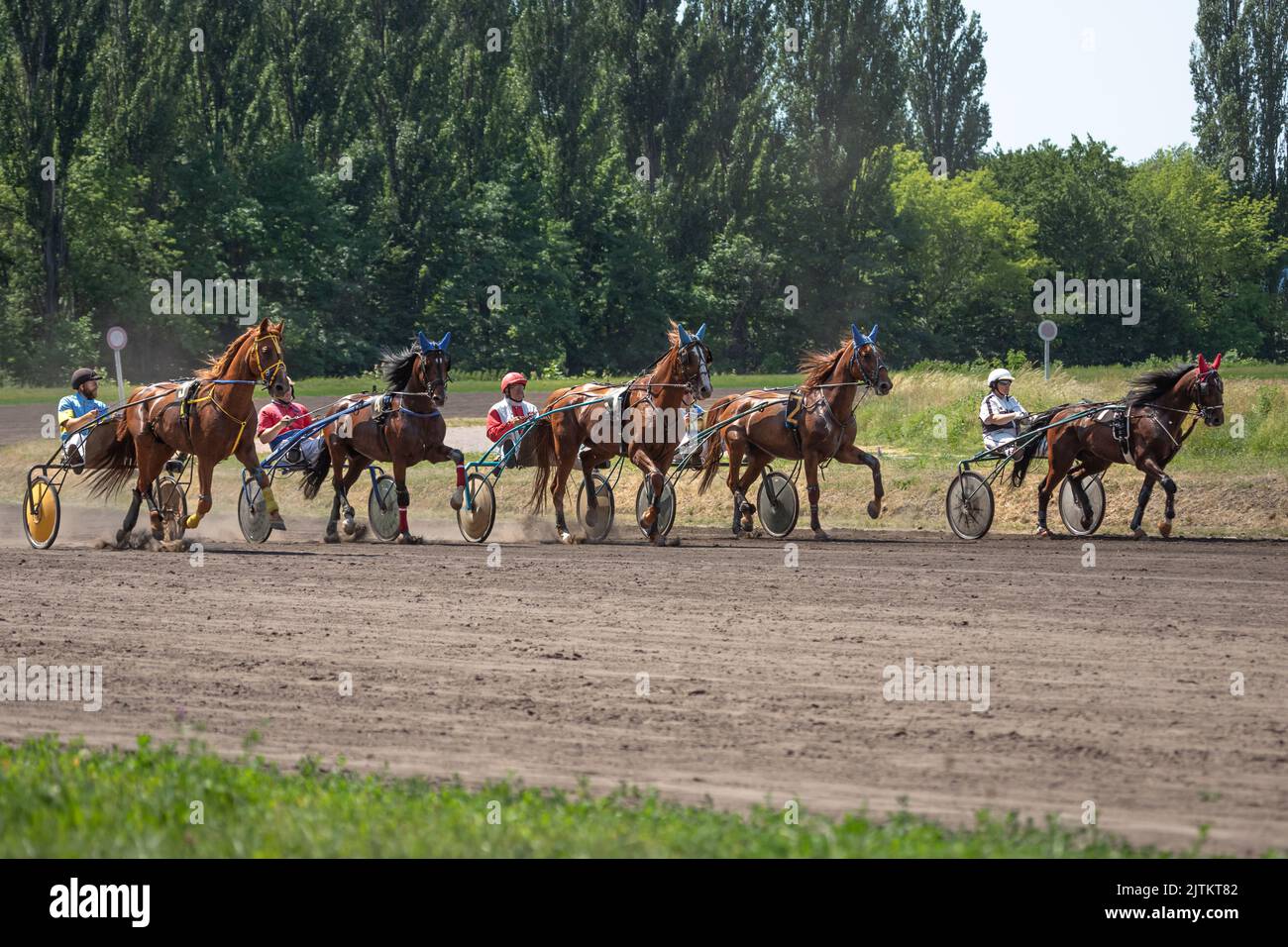 Trotters en traîneaux. Courses hippiques sur l'hippodrome. Animaux gracieux. Course de chevaux. Sports équestres. Paris sportifs. Banque D'Images