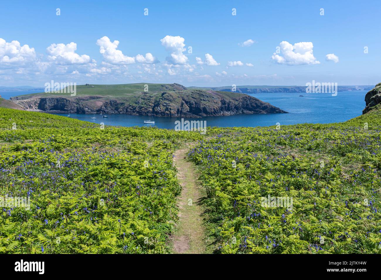 Paysage de l'île Skomer, Pembrokeshire, pays de Galles, Royaume-Uni Banque D'Images