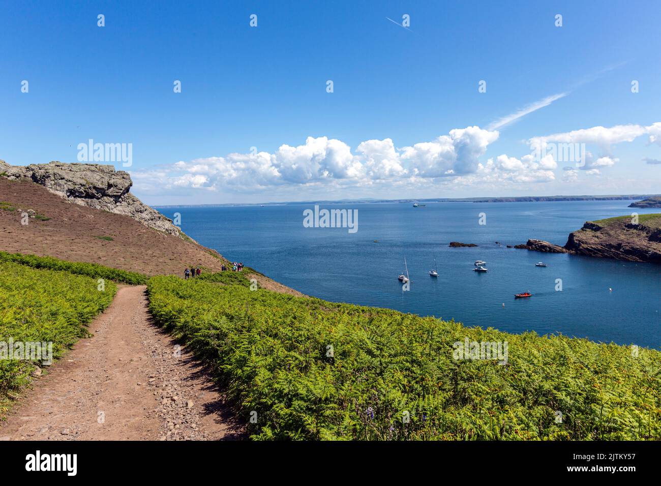 Skomer Island, Pembrokeshire, pays de Galles, Royaume-Uni Banque D'Images