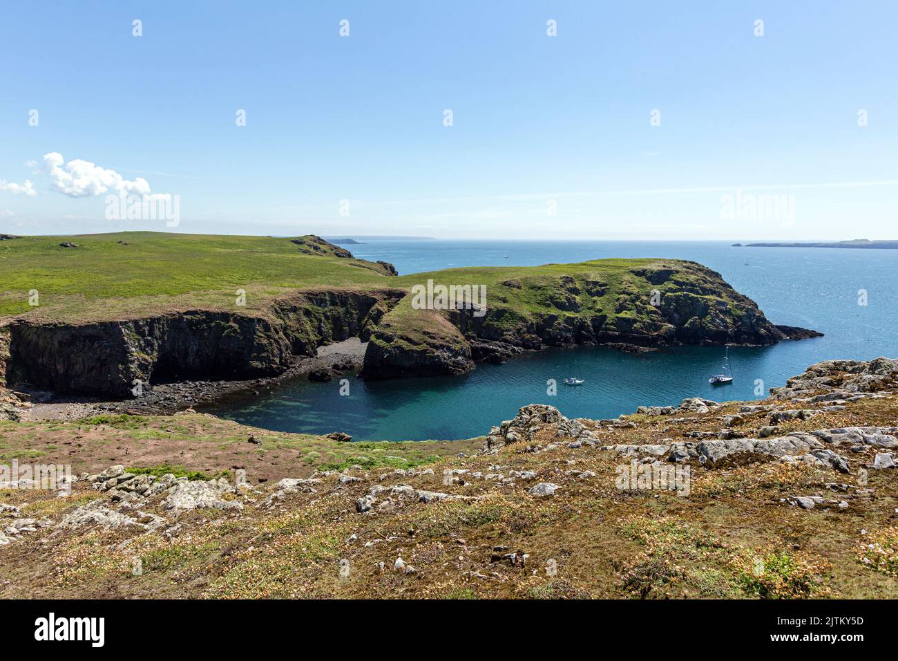 Skomer Island, Pembrokeshire, pays de Galles, Royaume-Uni Banque D'Images