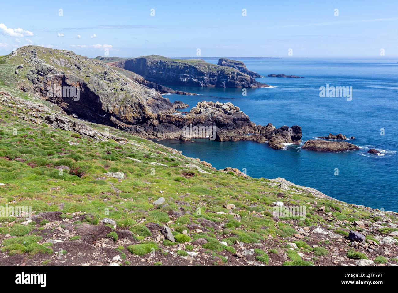 Macareux de l'Atlantique (Fratercula arctica), Skomer Island, Pembrokeshire, pays de Galles, Royaume-Uni Banque D'Images