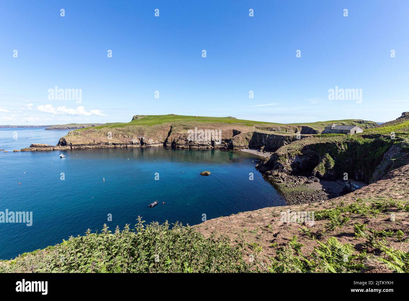 North Haven montrant la maison de Warden, Skomer Island, Pembrokeshire, pays de Galles, Royaume-Uni Banque D'Images