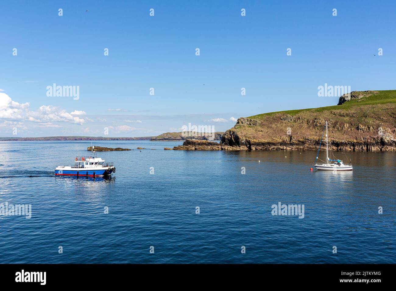 Skomer Island, Pembrokeshire, pays de Galles, Royaume-Uni Banque D'Images