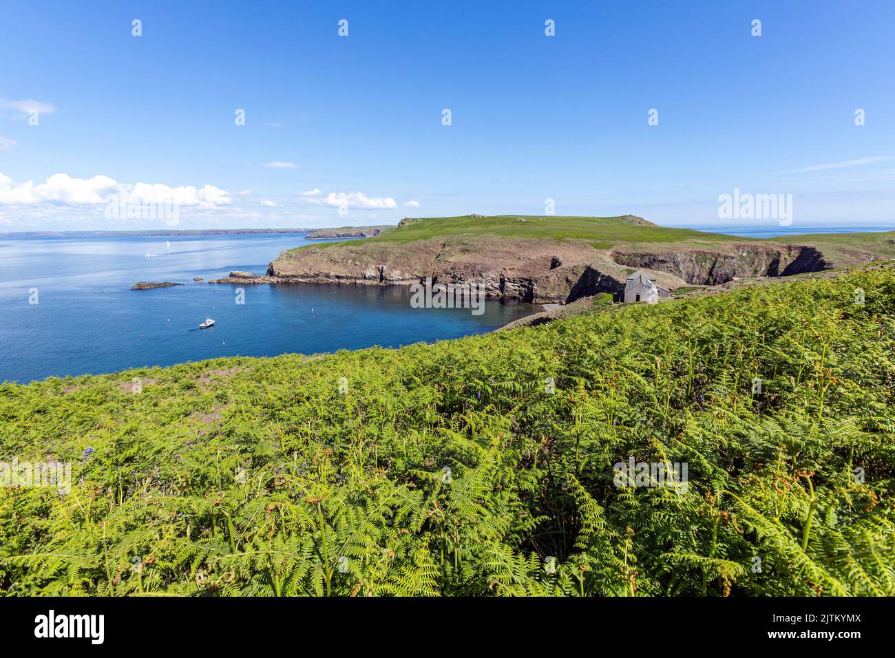 Paysage de l'île Skomer, Pembrokeshire, pays de Galles, Royaume-Uni Banque D'Images