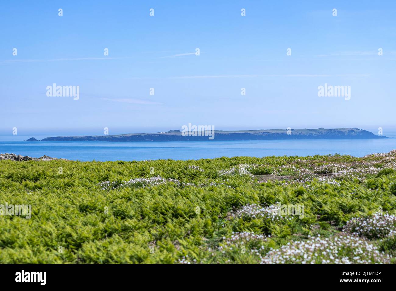 Paysage de l'île Skomer, Pembrokeshire, pays de Galles, Royaume-Uni Banque D'Images