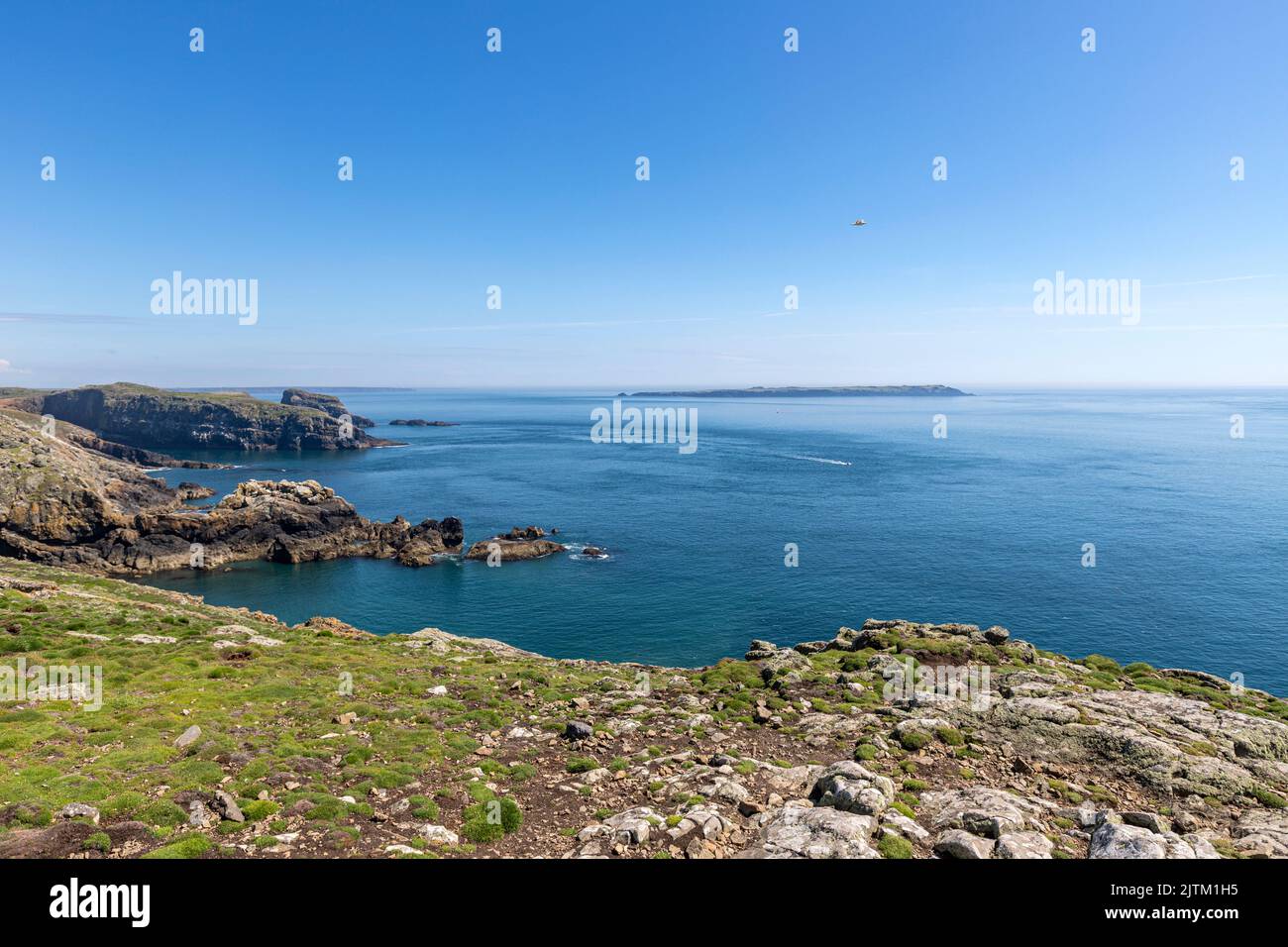 Paysage de l'île Skomer, Pembrokeshire, pays de Galles, Royaume-Uni Banque D'Images