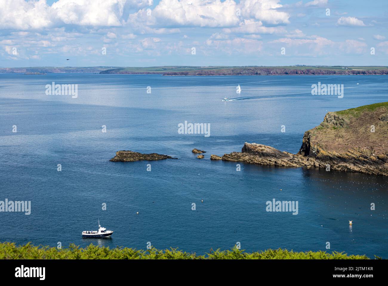 Skomer Island, Pembrokeshire, pays de Galles, Royaume-Uni Banque D'Images