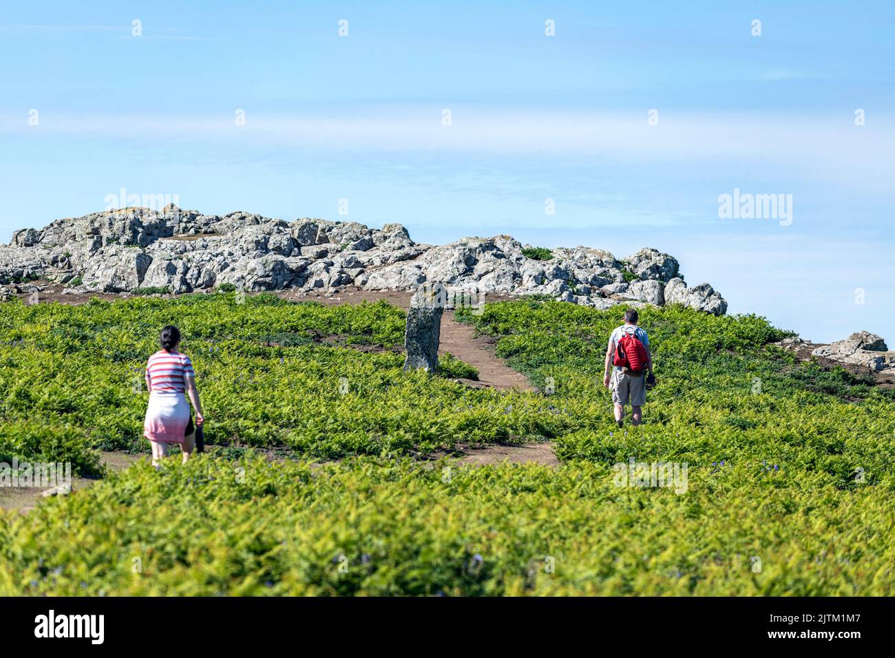 Skomer Stone, Skomer Island, Pembrokeshire, pays de Galles, Royaume-Uni Banque D'Images
