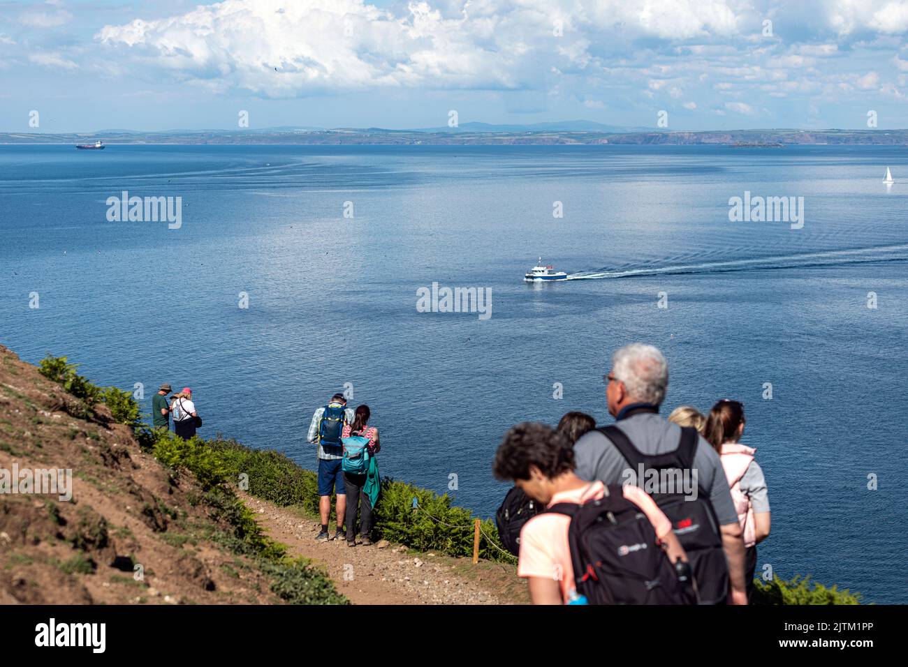 Skomer Island, Pembrokeshire, pays de Galles, Royaume-Uni Banque D'Images
