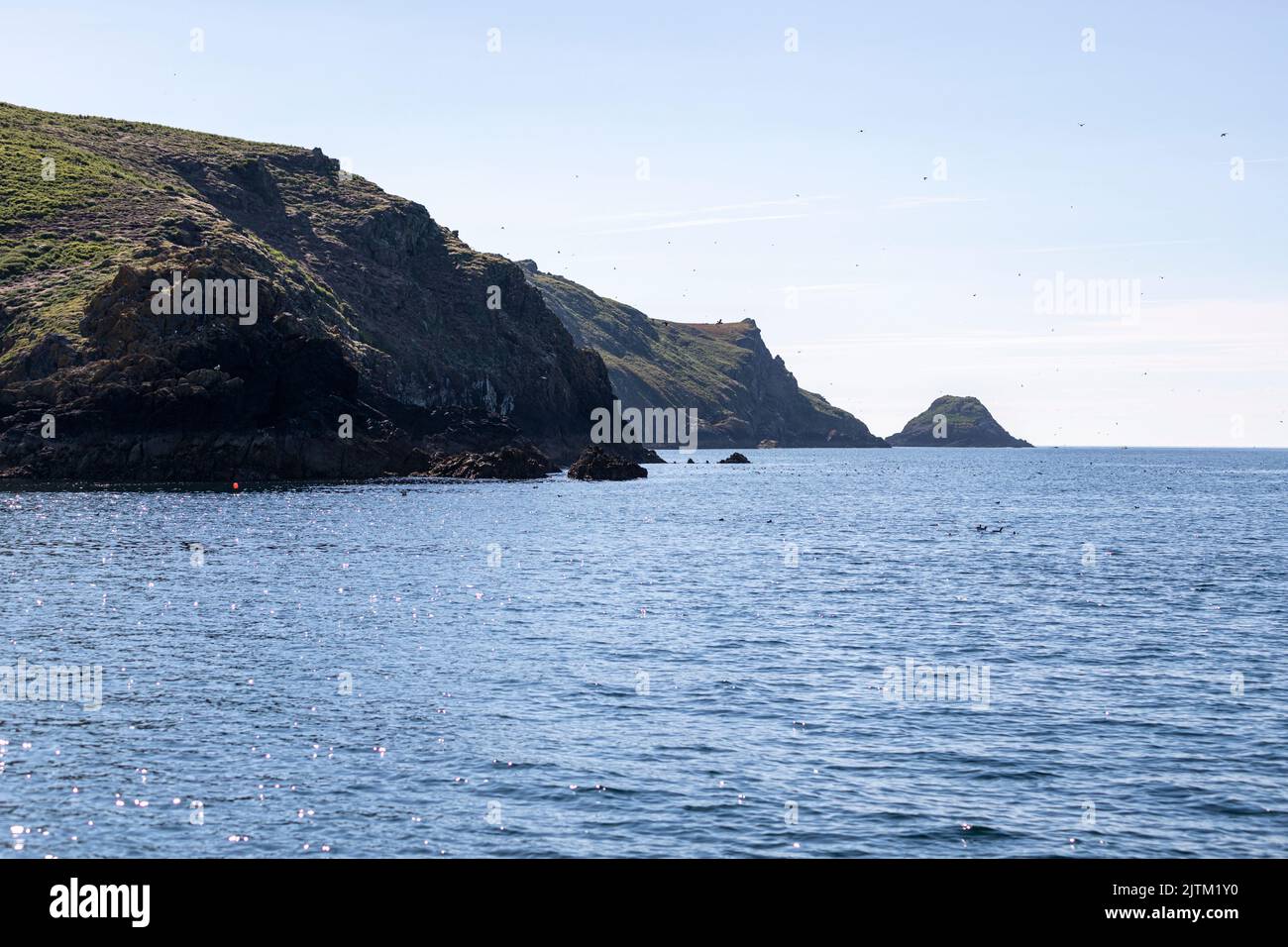 Skomer Island, Pembrokeshire, pays de Galles, Royaume-Uni Banque D'Images