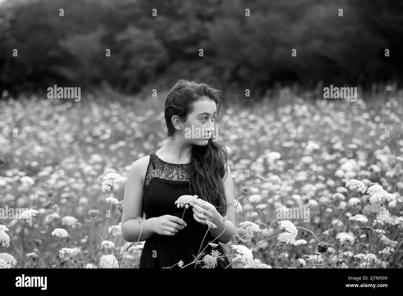 Jeune fille noire aux cheveux longs Banque d'images noir et blanc Alamy