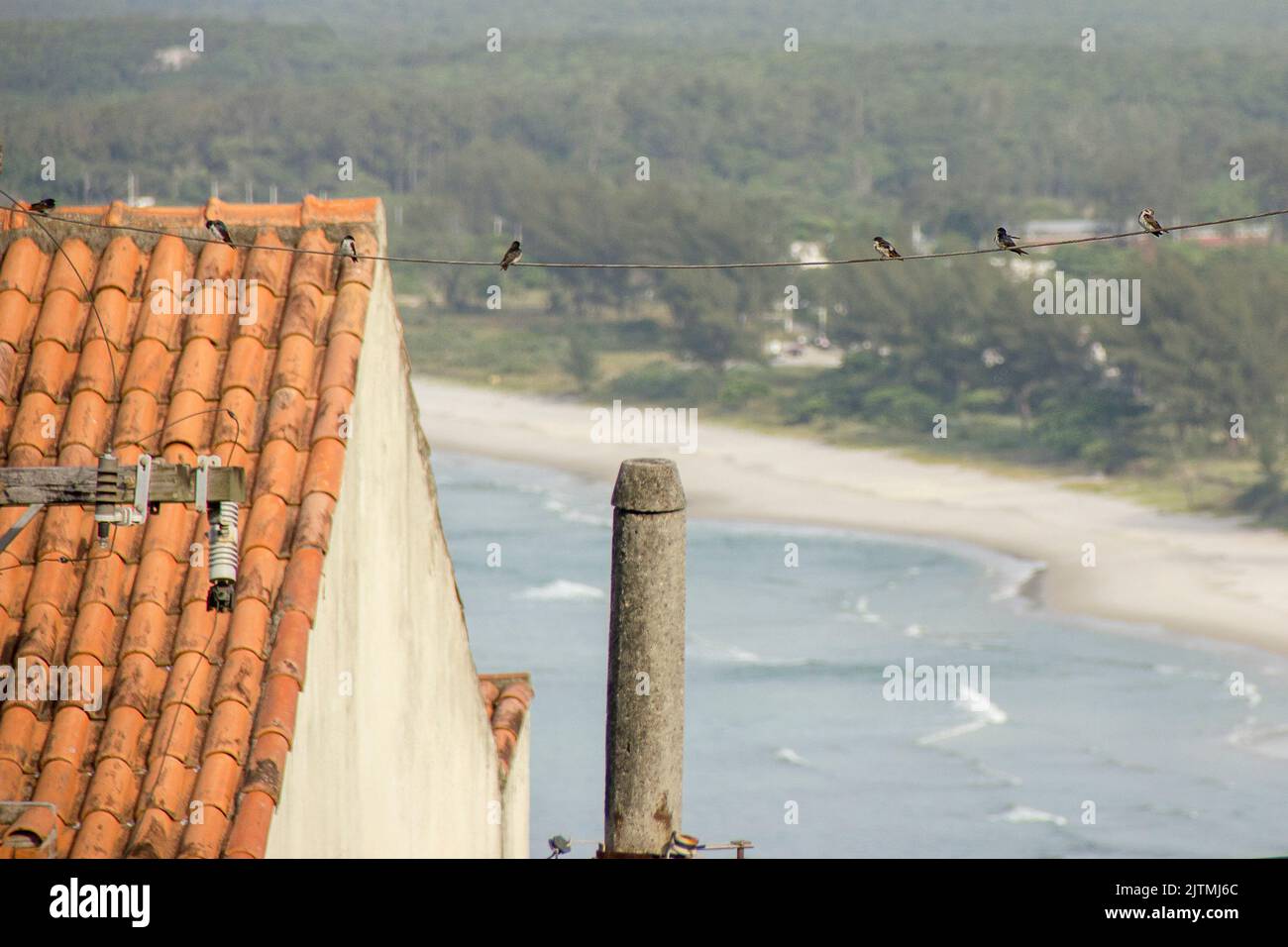 Vue sur la plage de sable Marambaia ( restinga de marambaia ) à Guaratiba à Rio de Janeiro Brésil . Banque D'Images