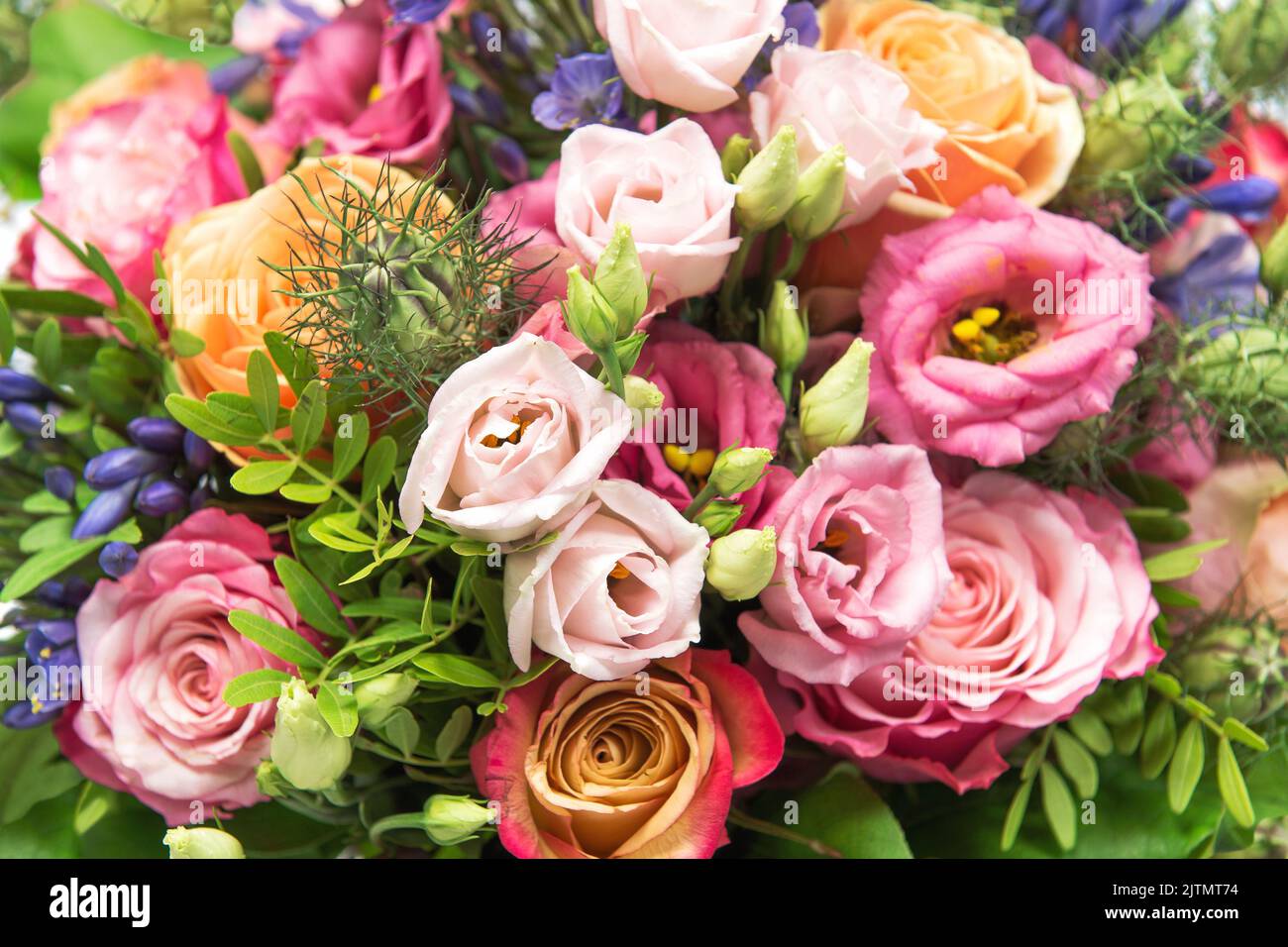 Roses et fleurs d'anémone florales avec bouquet de décoration Banque D'Images