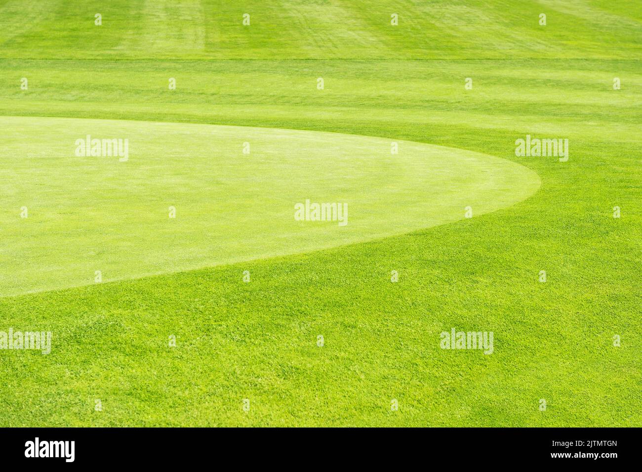 Terrain d'herbe vert nature fond parcours de golf Banque D'Images