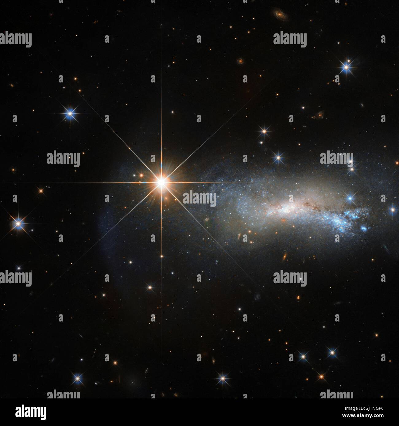 Dans l'espace, être dépassé est un danger professionnel. Cette image du télescope spatial Hubble NASA/ESA de 24 avril 2017 capture une galaxie nommée NGC 7250. Bien qu'elle soit remarquable en soi, elle présente des éclats de formation d'étoiles et des explosions de supernova enregistrées. Elle se fond un peu grâce à l'étoile brillante qui s'empare de la lumière à côté. Cet objet lumineux est une étoile simple et peu étudiée nommée TYC 3203-450-1, située dans la constellation de Lacerta (le Lizard), beaucoup plus proche que la galaxie beaucoup plus éloignée. C'est seulement ainsi qu'une étoile normale peut surbriller un Banque D'Images