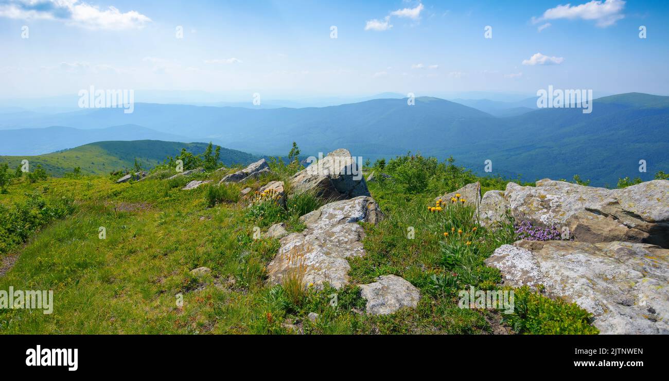 campagne carpathienne en été. paysage de montagne avec vue sur la crête et la vallée alpine. pierres sur la prairie herbeuse dans l'après-midi Banque D'Images