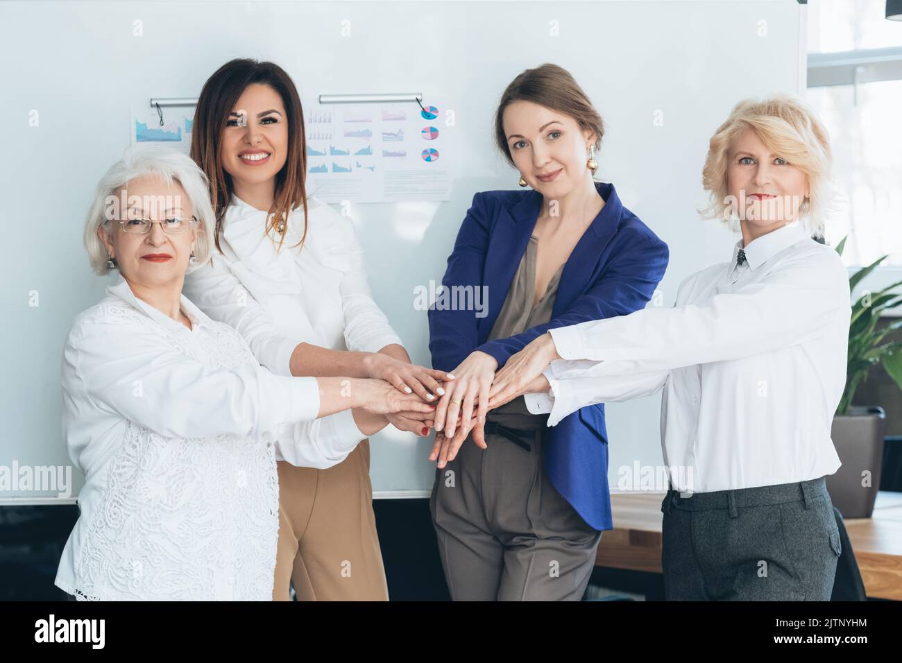 les femmes d'affaires réunissent la diversité du travail d'équipe Banque D'Images