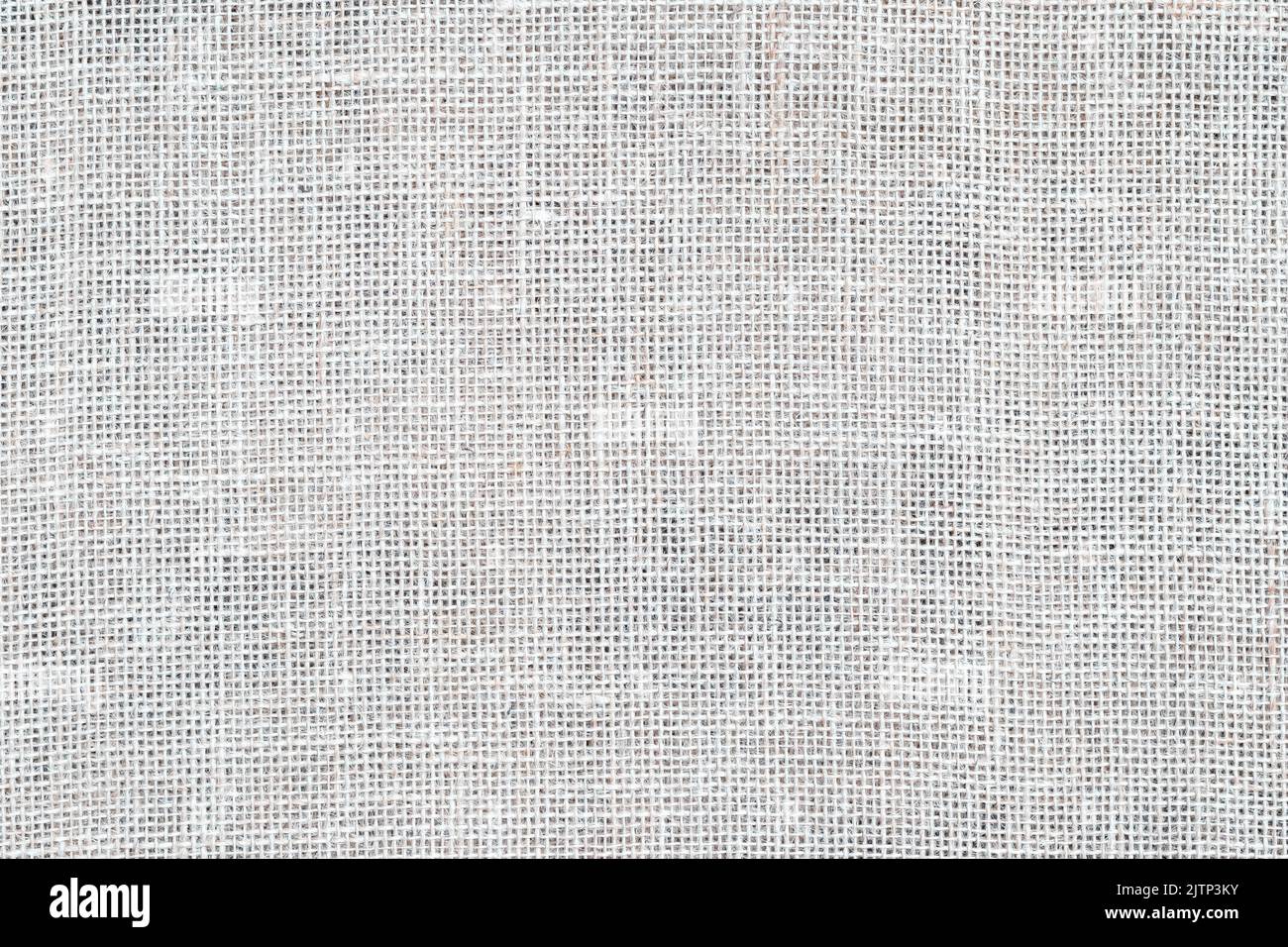 Texture toile, toile, ensachage rustique tissé gris clair. Jute de hessien naturel, texture textile. Motif toile blanche. Arrière-plan des threads. Banque D'Images