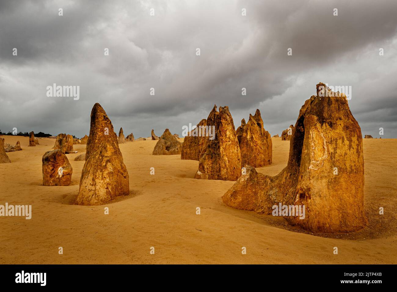 Formations rocheuses bizarres des Pinnacles dans le parc national de Nambung. Banque D'Images
