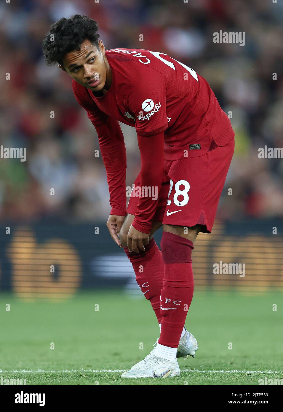 Liverpool, Angleterre, le 31st août 2022. Fabio Carvalho de Liverpool lors du match de la Premier League à Anfield, Liverpool. Le crédit photo doit être lu : Darren Staples / Sportimage Banque D'Images