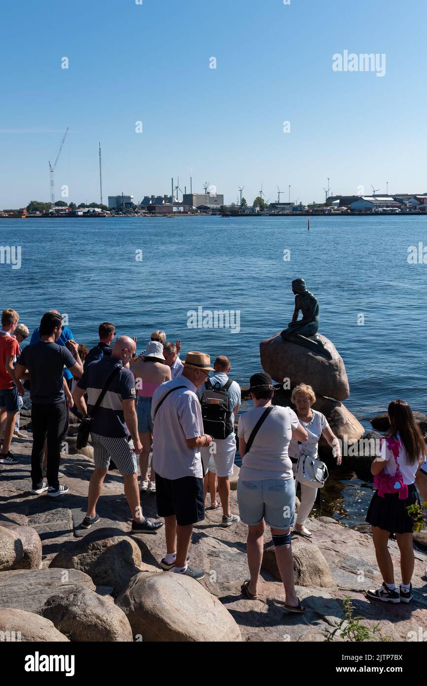 Copenhague, Danemark. 13 août 2022. Un groupe de touristes à côté de la statue de la petite sirène (Den Lille Havfrue) en début de matinée d'été Banque D'Images Copenhague, Danemark. 13 août 2022. Un groupe de touristes à côté de la statue de la petite sirène (Den Lille Havfrue) en début de matinée d'été Banque D'Images
