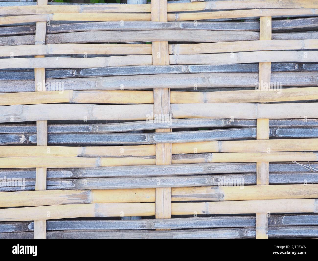 Texture abstraite de motif en bambou pour l'arrière-plan Banque D'Images